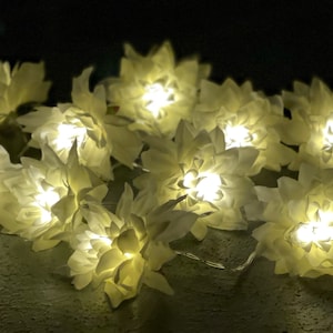 Könnte beinhalten: Lichterkette aus weißen Papierblumen mit warmweißen LED-Lampen. Die Lichter sind mit einem durchsichtigen Draht verbunden.