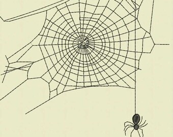 Spider Web Designs | Etsy