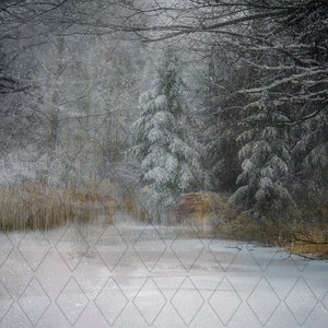 Winter forest, Snow overlay included, Digital background, Snowy background, Dreamy background, Grassy field, Christmas backdrop, Snowy trees