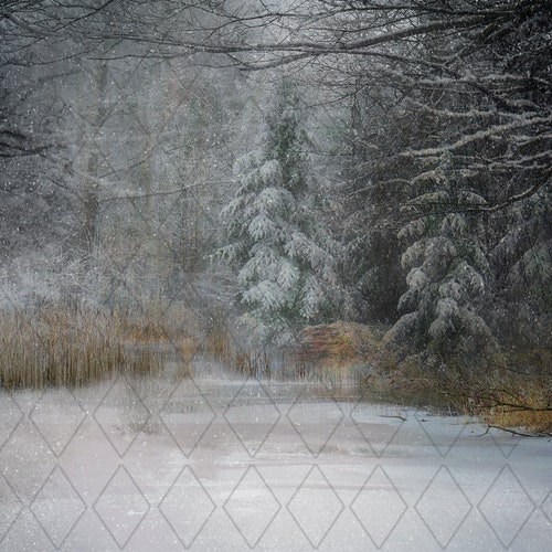 Christmas Digital Backdrop Snowy Forest Winter Scene Winter Etsy