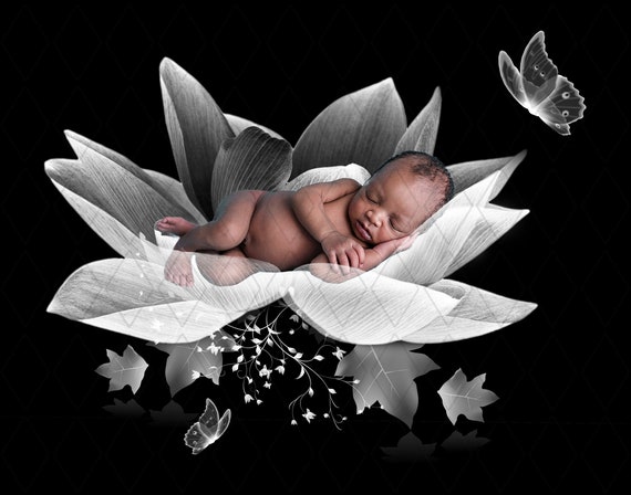 Beautiful Digital Background For Newborn White Lotus Backdrop Etsy