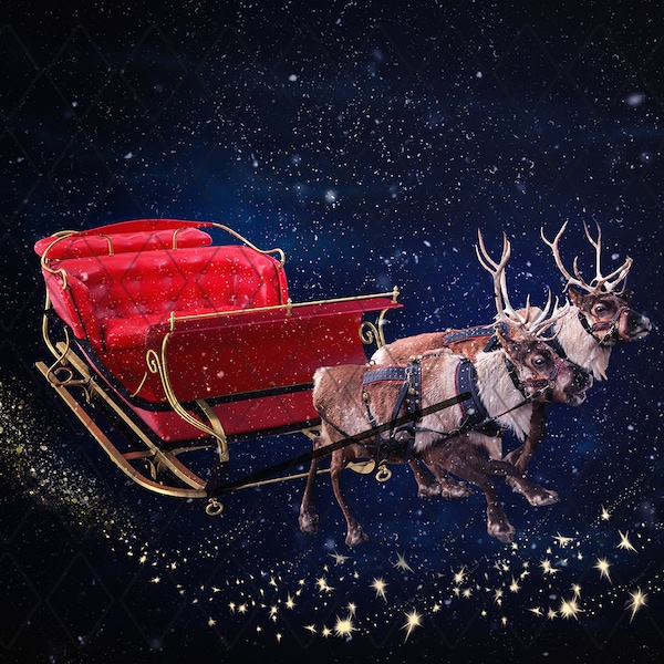 Sleigh Night Ride enkel en dubbel, Winterachtergrond, Digitale achtergrond, Kerstachtergrond, Rendierenachtergrond, Besneeuwde achtergrond