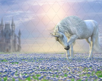 Unicorn overlay, Digital background, 2 Files, Dreamy backdrop, Castle backdrop, Princess, Fantasy backdrop, Grassy field, Bluebell field