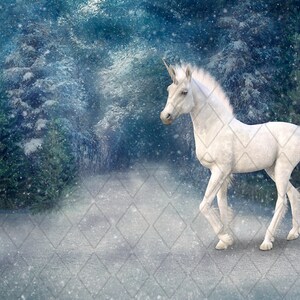 Baby Unicorn digital background. Quiet, dreamy, snowy forest path.