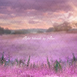 May include: A digital background image featuring a field of purple wildflowers with a soft, dreamy, and hazy effect. The background features a purple and pink sky with a diamond pattern overlay. The text "Light Moods by Nina" is visible in the centre of the image.