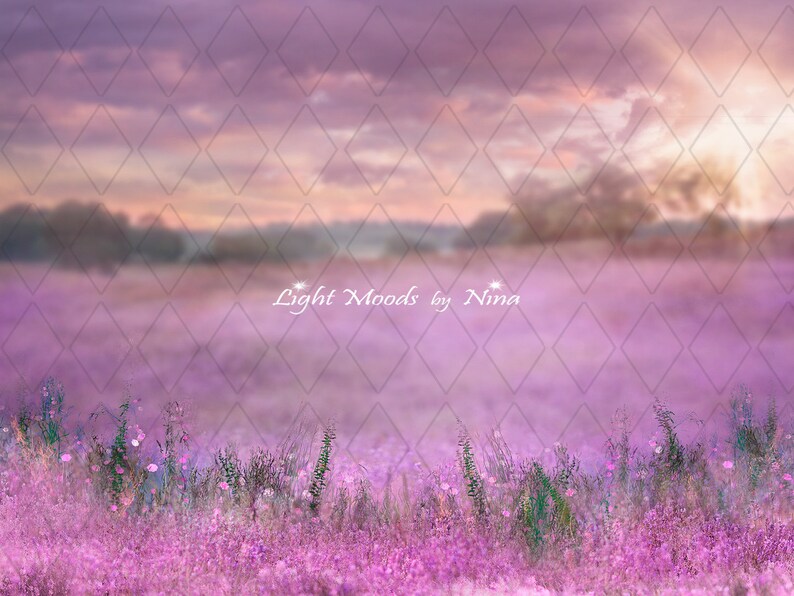 May include: A digital background image featuring a field of purple wildflowers with a soft, dreamy, and hazy effect. The background features a purple and pink sky with a diamond pattern overlay. The text "Light Moods by Nina" is visible in the centre of the image.
