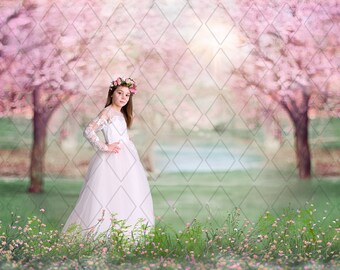 Springtime. Dreamy Cherry Tree digital background, Cherry Trees in the park, Instant download.