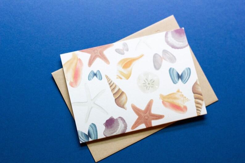 Seashells Pattern Notecard Box Set of 8