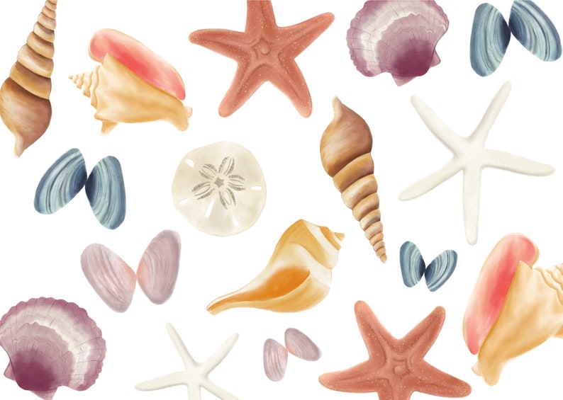 Seashells Pattern Notecard Box Set of 8