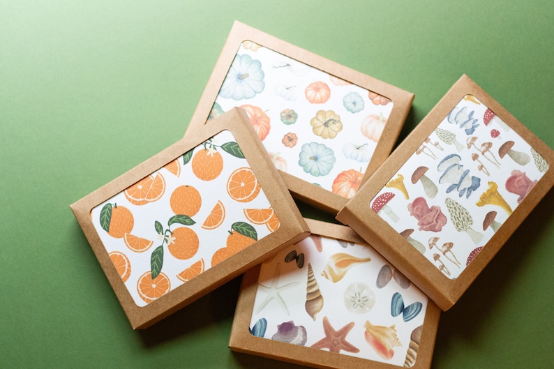 Seashells Pattern Notecard Box Set of 8