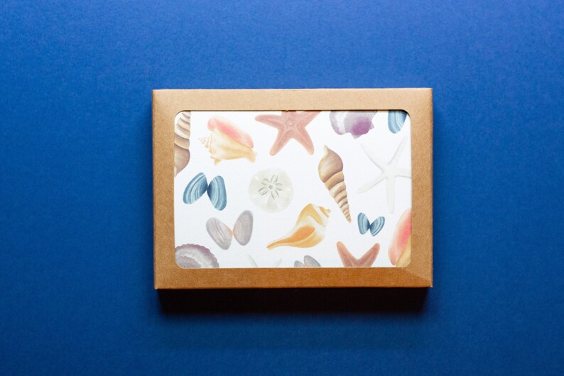 Seashells Pattern Notecard Box Set of 8
