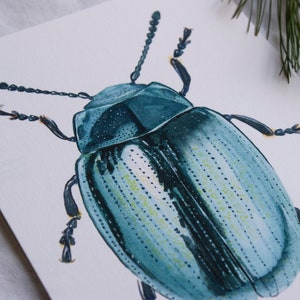 Blue Beetle Watercolor Painting, Giclée Art Print, 5x7 Insect Artwork, Scientific Illustration, Original Painting by Little Linden Art
