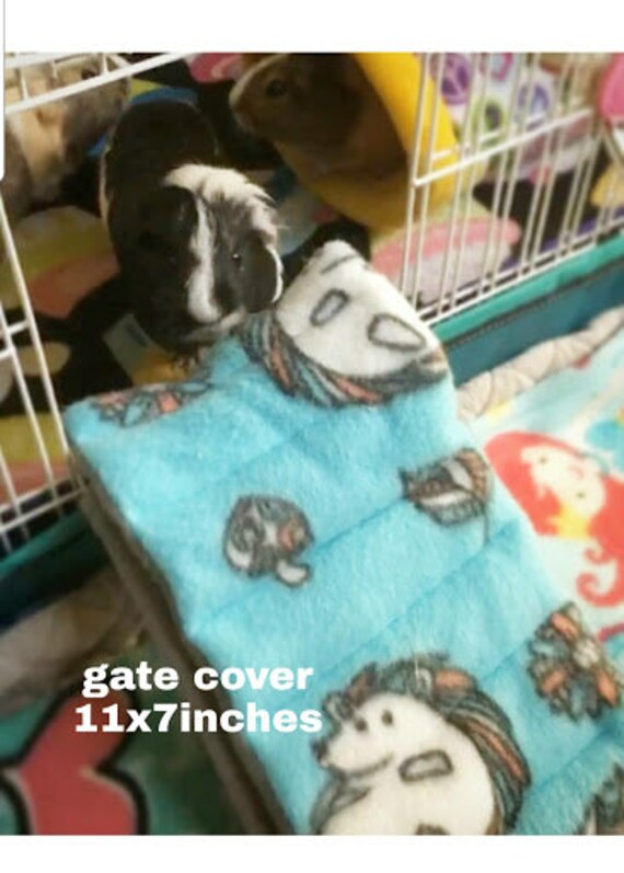 guinea pig gate
