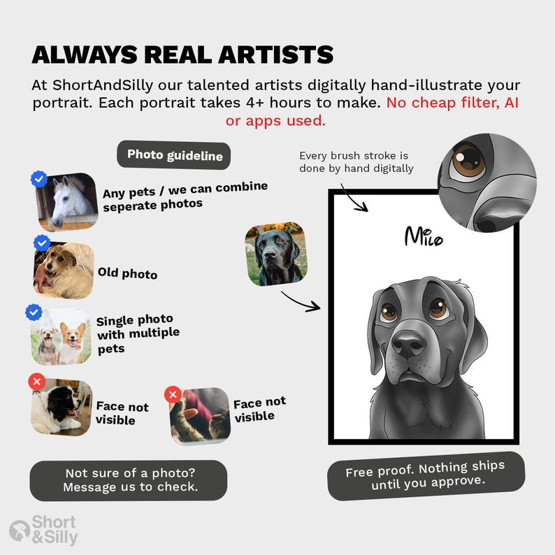 Cartoon Pet Portrait | Custom Cartoon Pet Portrait | Cat & Dog Portrait From Photo | Pet Cartoon Style | Custom Cat Gift image 3