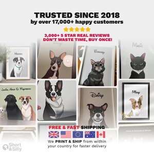 a group of pictures of dogs and cats