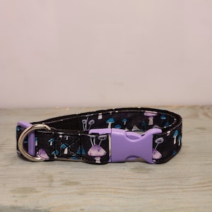 Collar para perro o gato con hongos