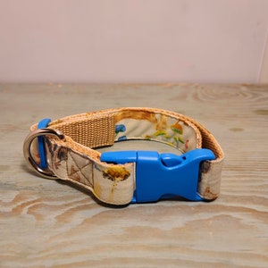 Forest Mushrooms Dog Collar