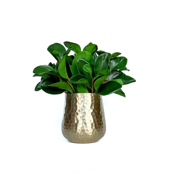 Faux Greenery Etsy