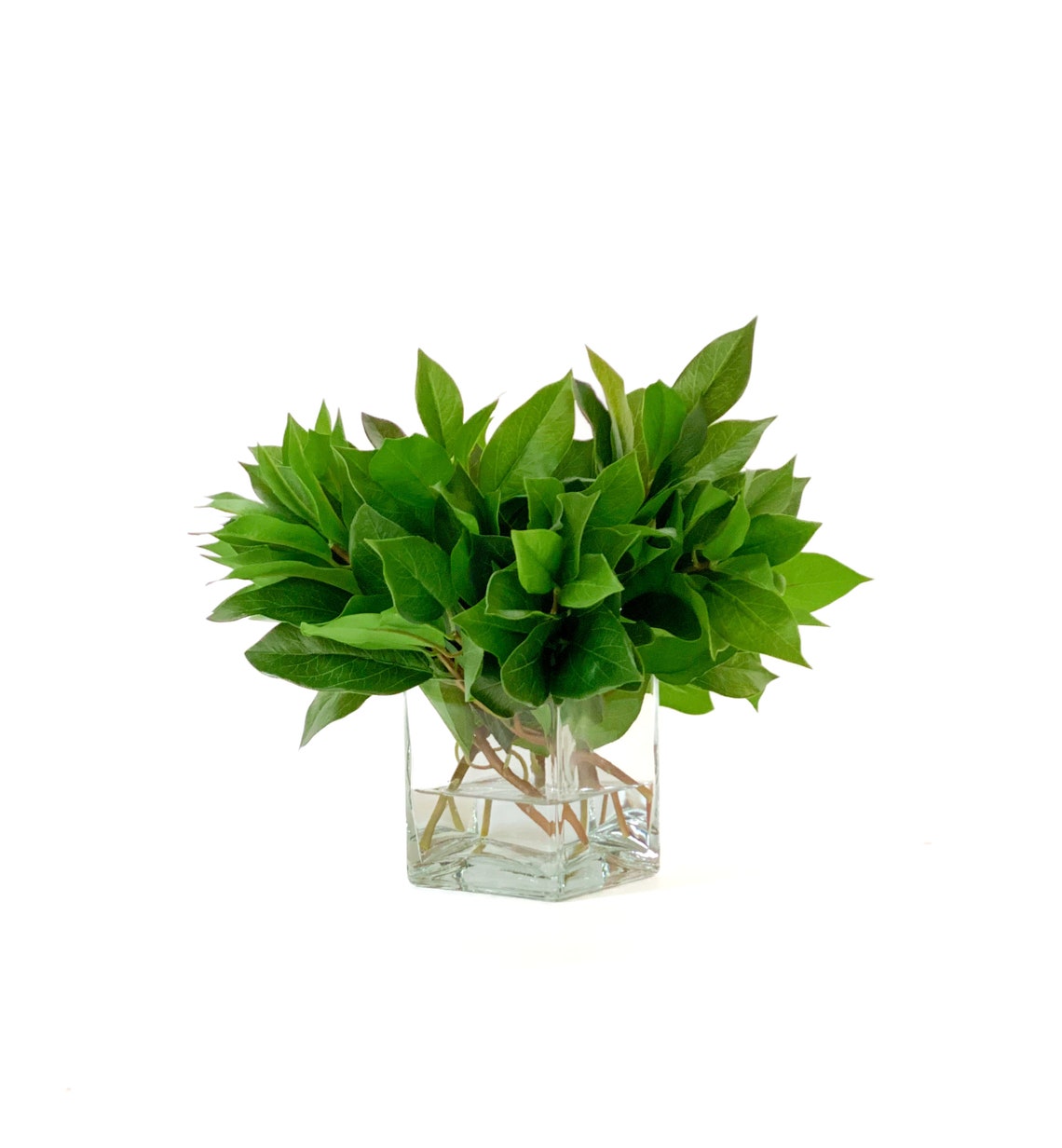 Laurel Leaf, Luxury Faux Greenery, Premium Artificial Stems, Interior Design, Accent Decor, Home