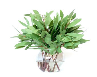 Eucalyptus, Seeded Long Leaf Eucalyptus, Faux Greenery in Vase, Premium Artificial Flowers, Home Decor, Office Decor, Accent Decor