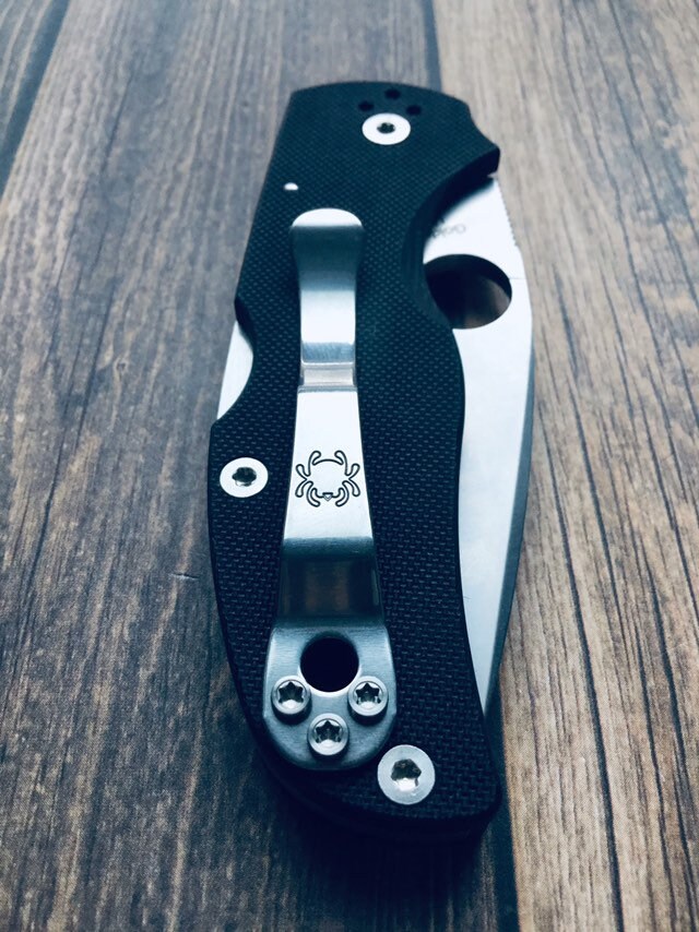 Spyderco Native 5 G10 • Top Grade Titanium Pocket Clip Screws