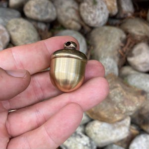 May include: A small, brass acorn pendant with a loop at the top. The acorn is a warm, golden color and has a textured surface. The pendant is held in a hand against a background of rocks and foliage.