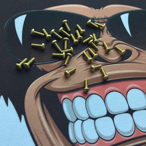 Fits Spyderco Paramilitary 2 BRASS PHILIPS Pocket Clip Screws - 3x Pocket Clip Screws Per Order Fits Many Spyderco Models Spyderco PM2 PM3