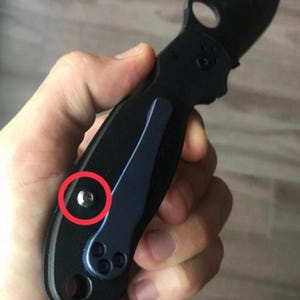 Fits Spyderco Para 3 Grade 5 TITANIUM TORX Replacement Scale Screws / 2x Scale Screws Custom Spyderco Knives Spyderco Knife Screws