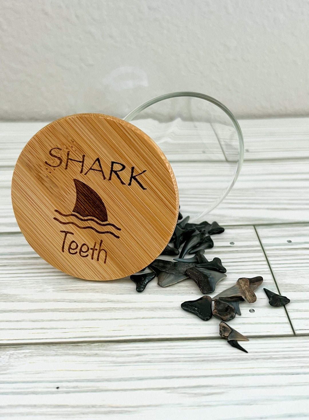 Shark Teeth Jar Laser Engraved Keepsake Box Etsy