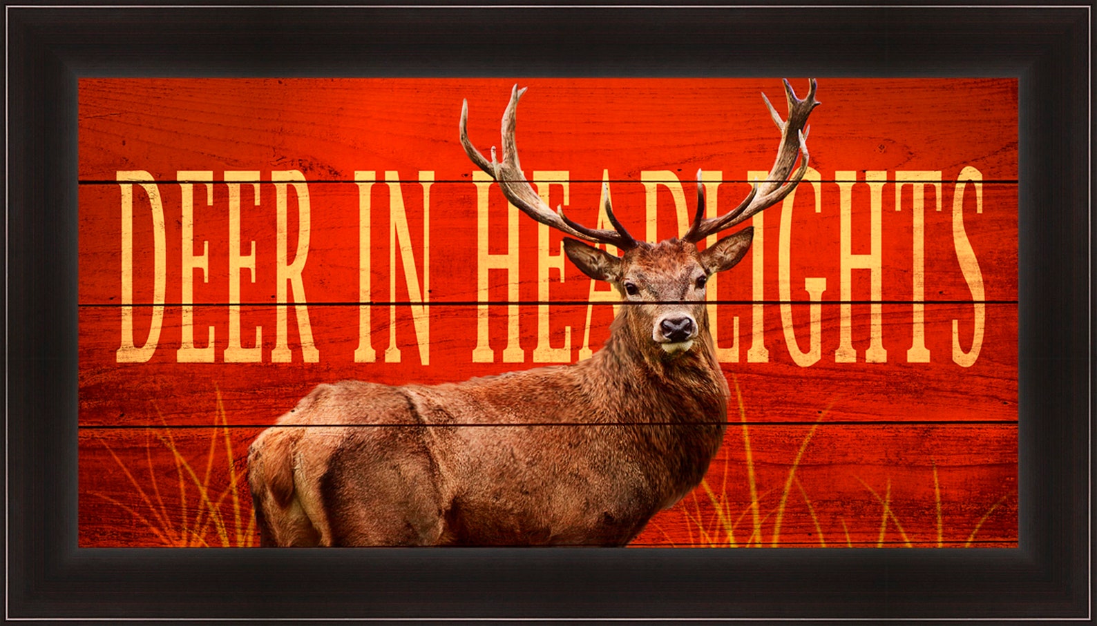 deer in the headlights shirt