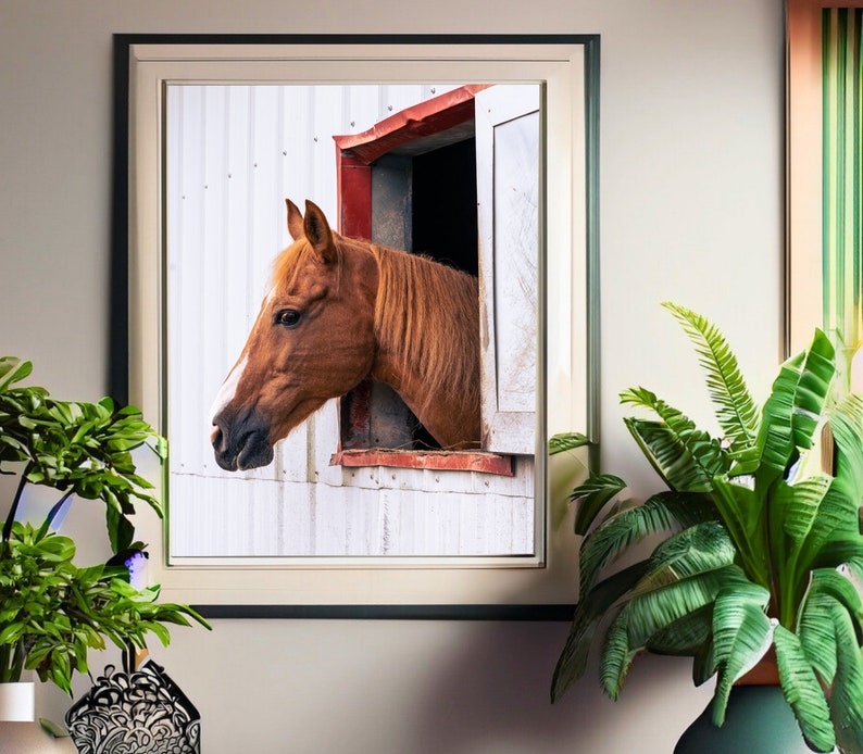 Barn Horse Farmhouse Wall Art Farm Wall Hanging Photography Etsy