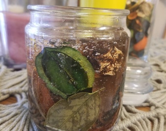 Woodland Wonder Gel Candle