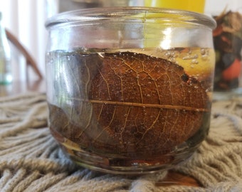 Freesia, Sweet Orange & Lemongrass Gel Candle