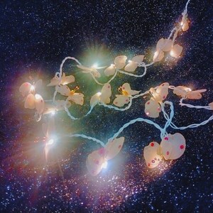 May include: A string of fairy lights with butterfly-shaped bulbs. The lights are white with pink accents and are strung on a clear wire. The lights are against a dark blue background with glitter.