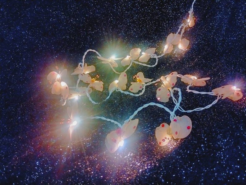 May include: A string of fairy lights with butterfly-shaped bulbs. The lights are white with pink accents and are strung on a clear wire. The lights are against a dark blue background with glitter.