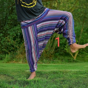Unisex Stripey Festival Alibaba Haremshose / Drop Crotch Yoga Hose