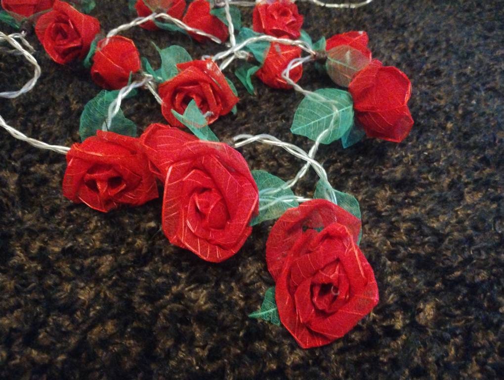 Rose Fairy Lights Etsy UK