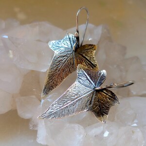 May include: A pair of silver earrings shaped like ivy leaves. The leaves are textured and have a slightly oxidized finish.