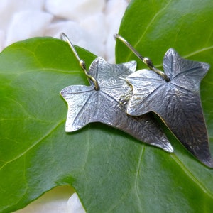 May include: A pair of silver earrings shaped like ivy leaves. The leaves are textured and have a realistic look. The earrings are hanging from a green leaf.