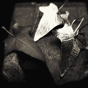 May include: A pair of silver leaf-shaped earrings with a textured surface. The earrings are displayed on a dark background with a green leaf.