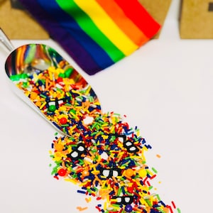 May include: A silver scoop overflowing with colorful sprinkles, including rainbow sprinkles, red and orange sprinkles, and black and white sprinkles shaped like glasses.