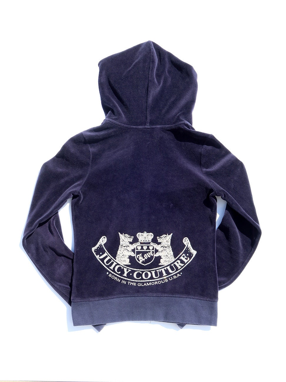 blue juicy hoodie