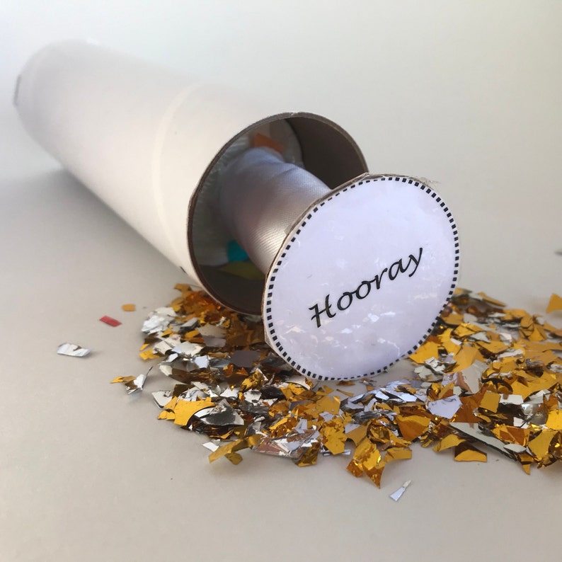 Glitter Bomb Spring Loaded Glitter Cannon Prank Confetti Cannon Etsy