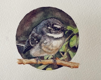 Grey Fantail Watercolour Print