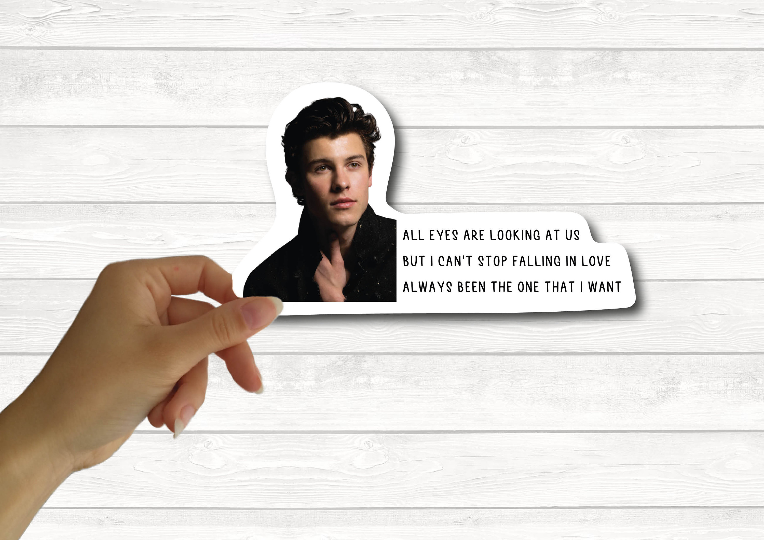 Shawn Mendes Sticker Pack / Vinyl Sticker Pack Portátil Etsy