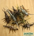Realistic Style Stonefly Nymphs