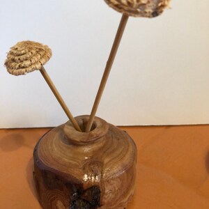 May include: A small, handcrafted wooden vase with two decorative dried flower stems. The vase is cylindrical with a rounded top and a natural wood grain finish. The dried flowers have a textured, layered appearance.