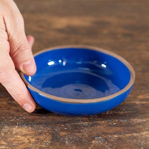 Peut inclure: Un petit bol rond en céramique bleue avec un bord marron. Le bol est tenu par une main, mettant en valeur sa couleur vive et brillante. Le design du bol est simple et élégant, adapté pour servir de petites portions.