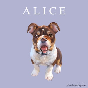 Dog Portrait Digital Pet Portrait Customized Cartoon Pet Portrait Personalized Unique Gift Custom Cartoon Portrait, Pet illustration