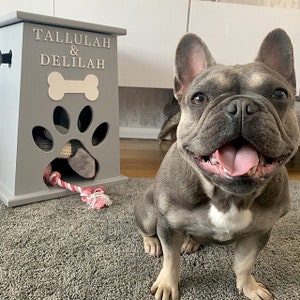May include: A gray wooden dog toy storage box with the names Tallulah & Delilah and a bone and paw print design. A French bulldog sits in front of the box with its tongue sticking out.